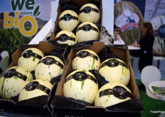 Melón Sugar Baby Matisse, expuesto en el stand de Melones el Abuelo.